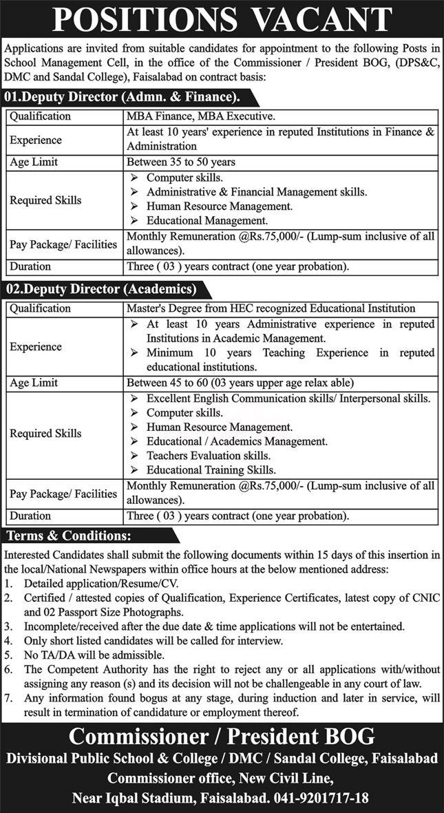 Divisional Public School & College Faisalabad Jobs 2024