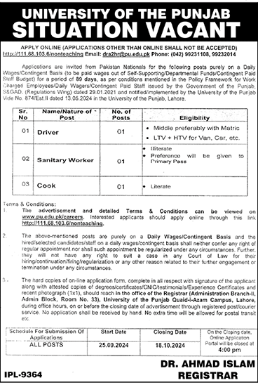 University of the Punjab Jobs 2024