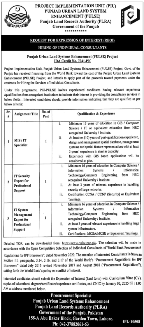 Punjab Land Records Authority Jobs 2024